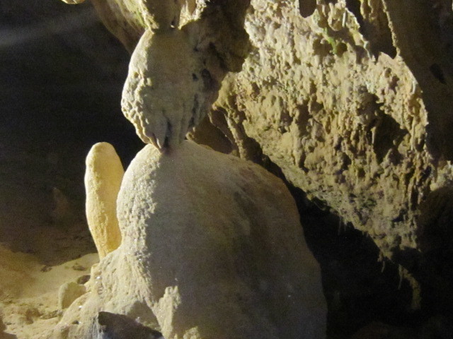 d0162225_23340096.jpg