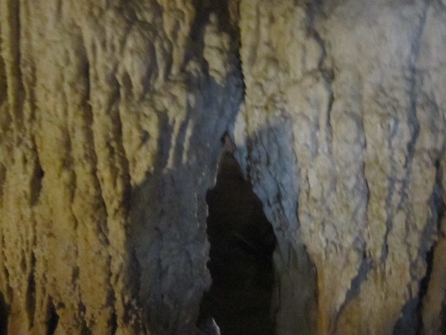 d0162225_23351880.jpg