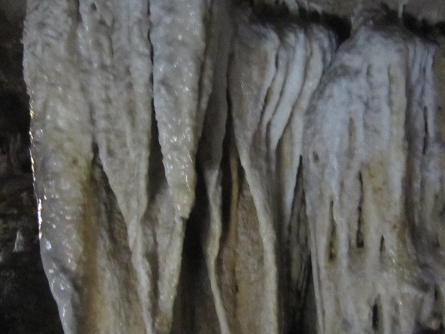 d0162225_23391657.jpg