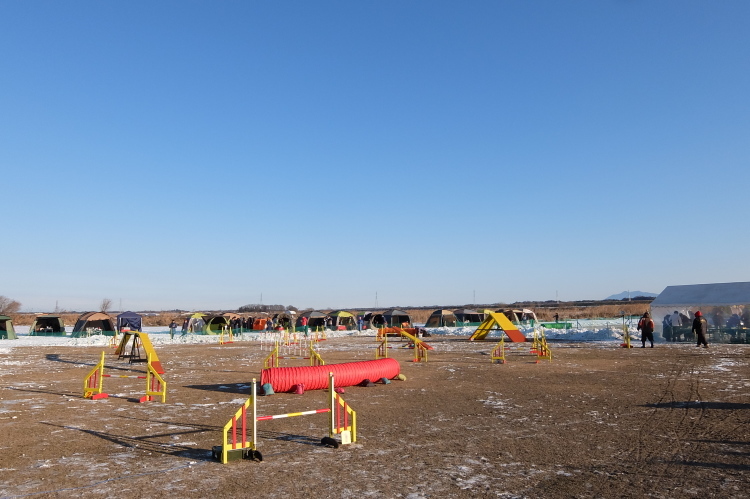 f0363628_17480806.jpg