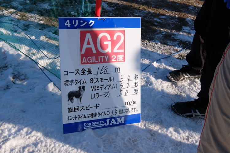 アジリティー競技会２度デビュー_f0363628_17483215.jpg