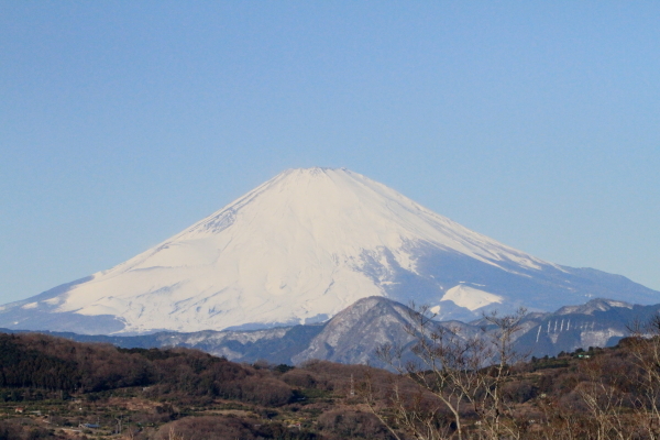 f0229832_23051791.jpg