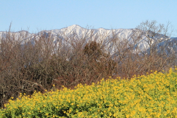 f0229832_23080605.jpg
