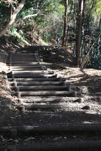 f0229832_23112973.jpg
