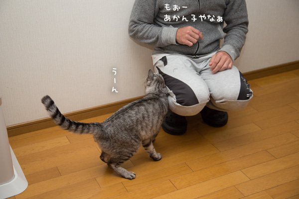 もじもじようやっと _d0355333_19550399.jpg