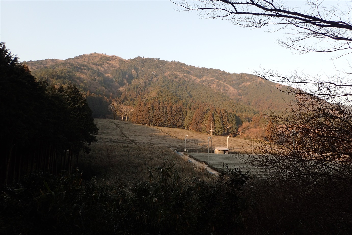 f0348933_20541202.jpg