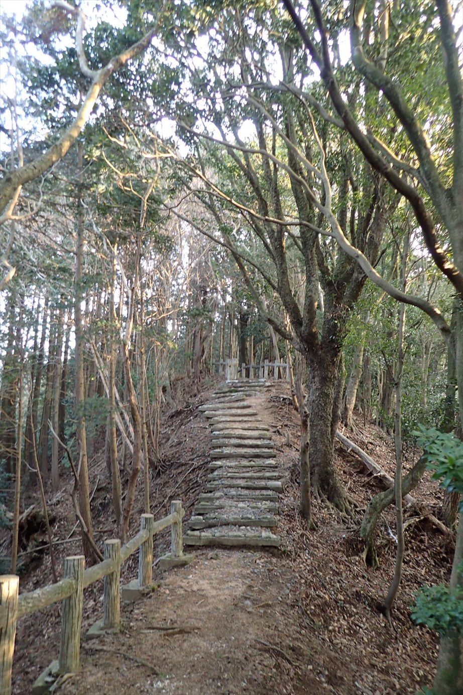f0348933_20545850.jpg