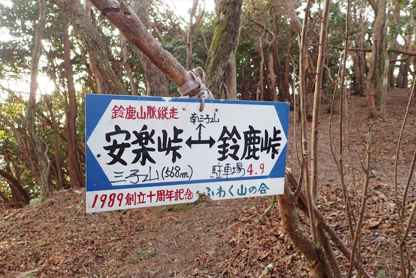 f0348933_20562914.jpg