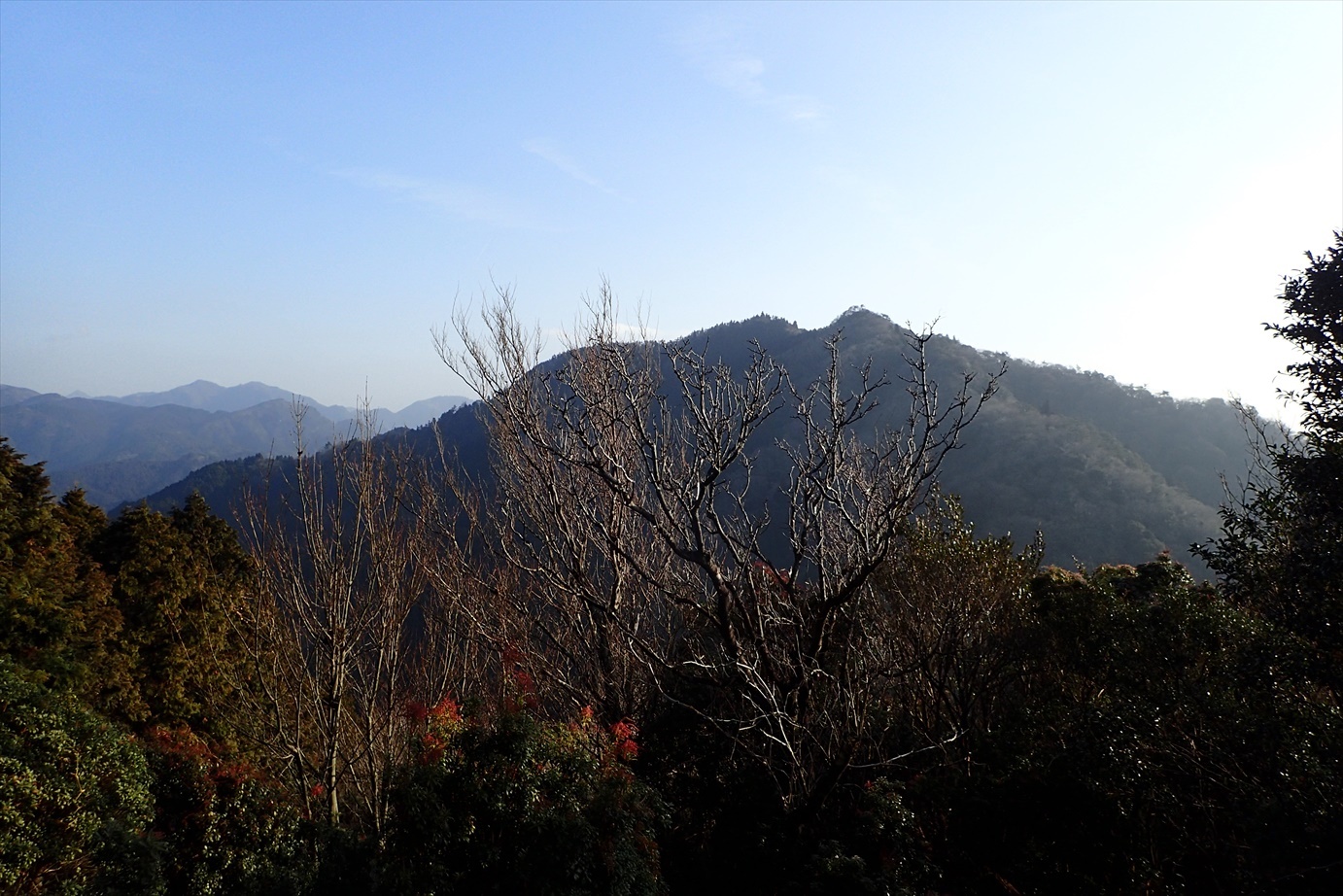 f0348933_21045419.jpg