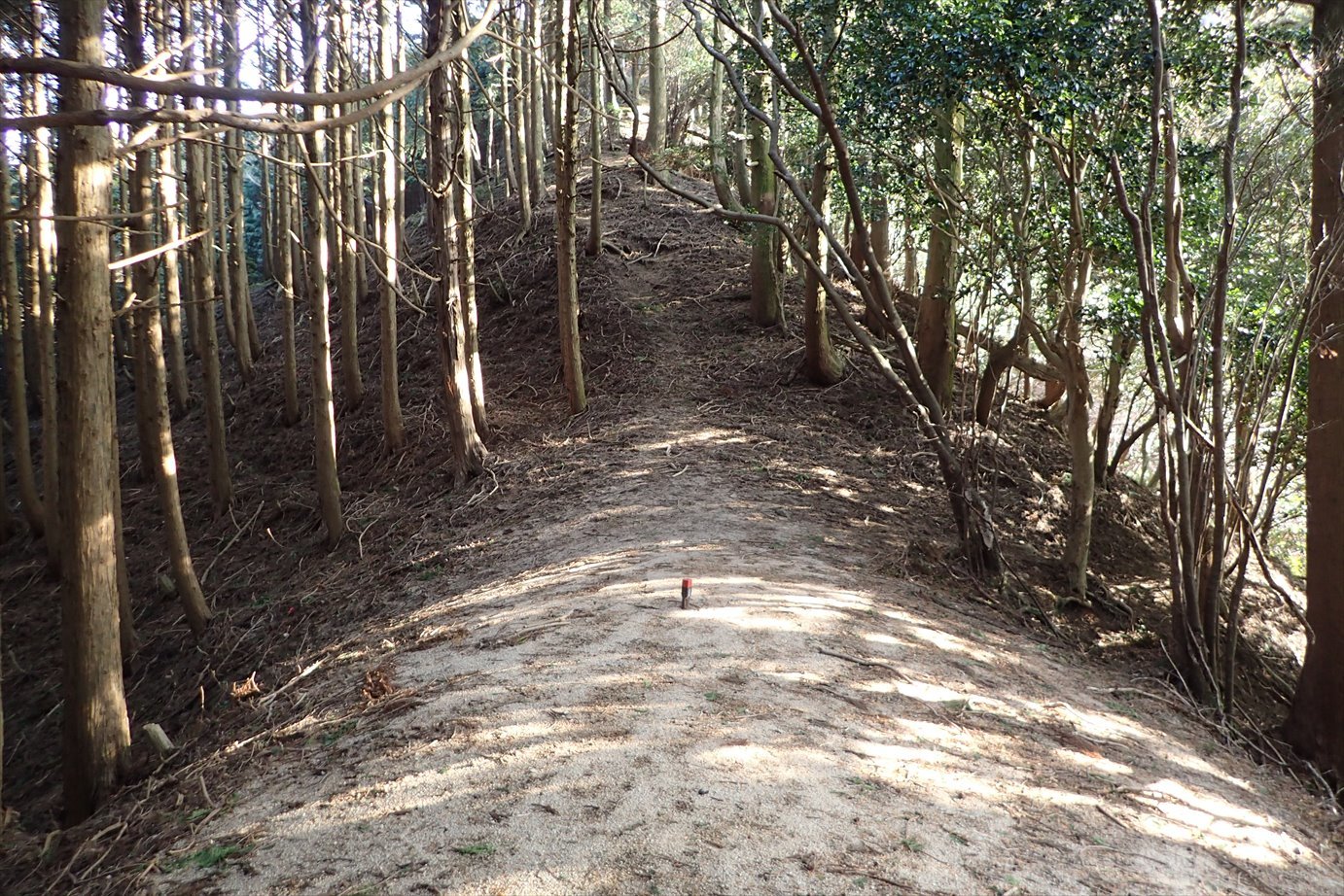 f0348933_21054061.jpg