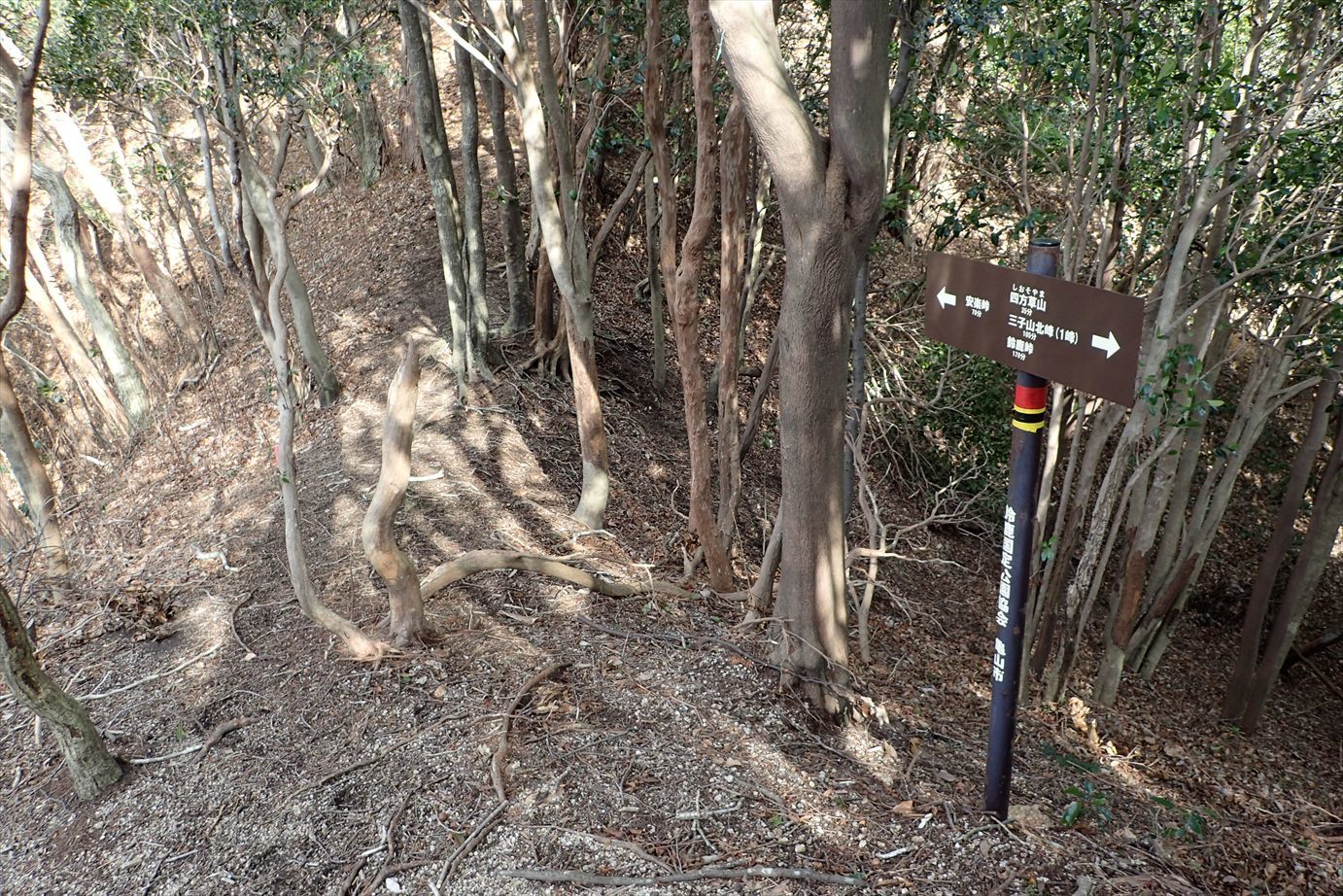 f0348933_21212090.jpg