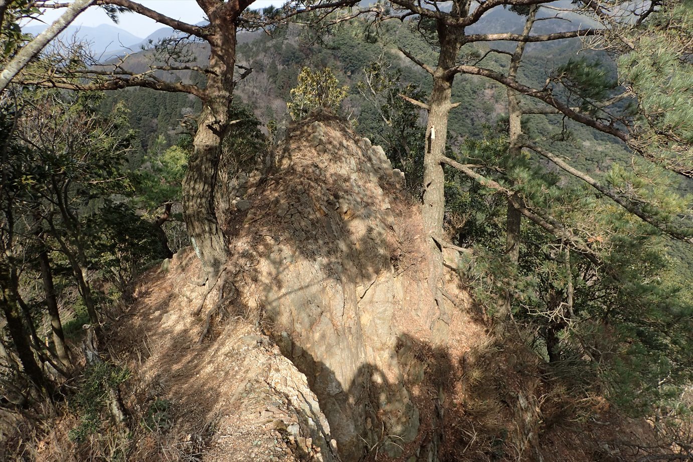 f0348933_21280043.jpg