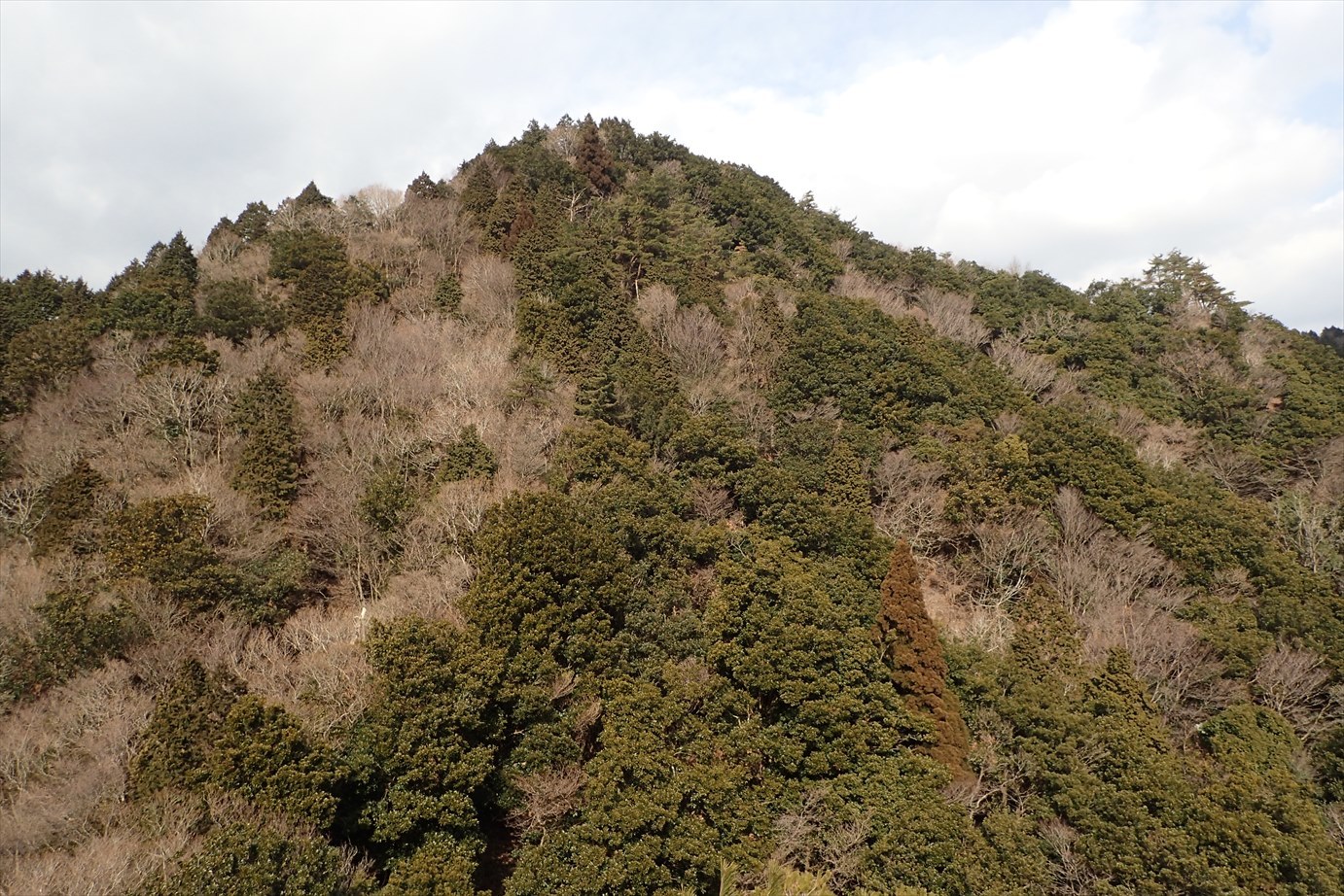 f0348933_21315476.jpg