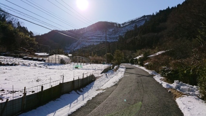 c0108034_16433327.jpg