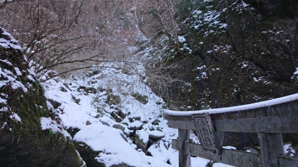 c0108034_16442230.jpg