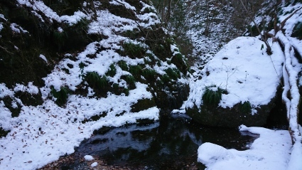 c0108034_16444884.jpg