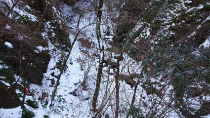 c0108034_16450825.jpg