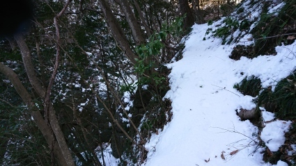 c0108034_16452643.jpg