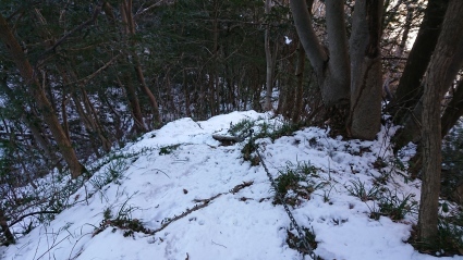 c0108034_16454452.jpg