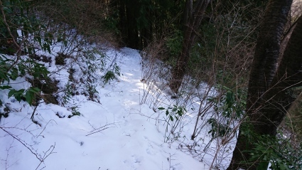 c0108034_16460867.jpg