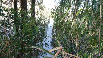 c0108034_16461849.jpg