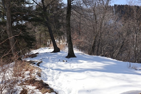 山には雪がいっぱい_e0151545_21295228.jpg