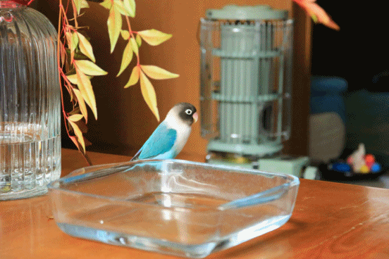 c0145250_10314968.gif