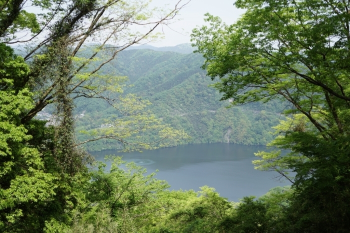 最初の一歩＠城山 2017.05.06(土)_f0344554_14310776.jpg