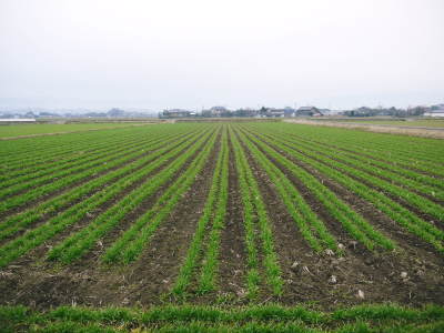 七城米大好評発売中！長尾農園さんは平成30年度の米作りをスタートしました！天地返しの様子（2018後編）_a0254656_16470315.jpg