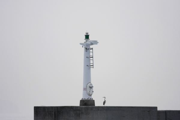 b0310259_08263114.jpg