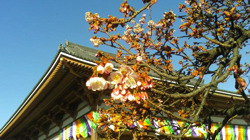 d0062076_10395252.jpg