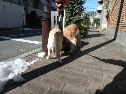 f0052277_01340481.jpg