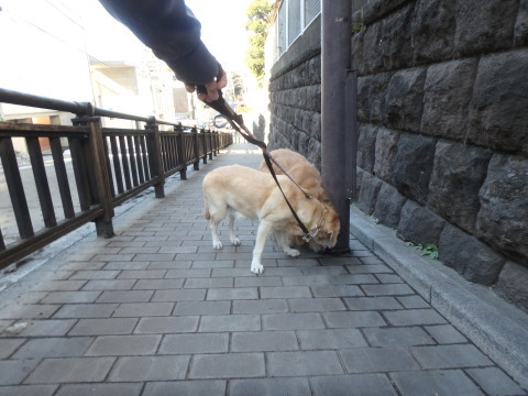 f0052277_01345063.jpg