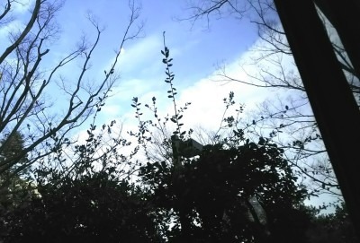 f0159480_08485986.jpg