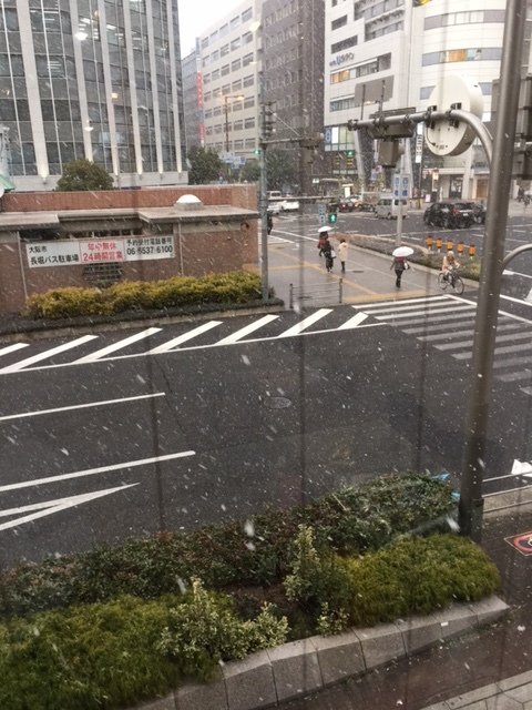 f0202682_19383000.jpg