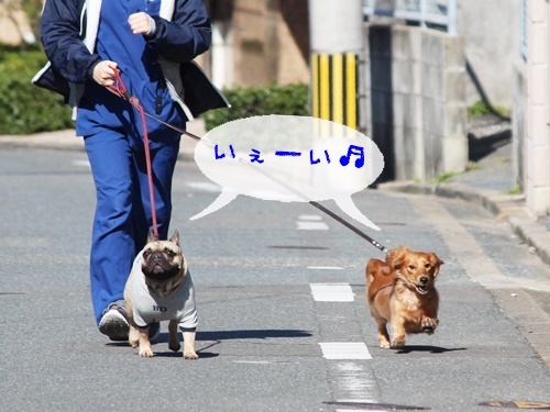 お知らせ and お散歩ウォッチング#08_f0357682_16545998.jpg