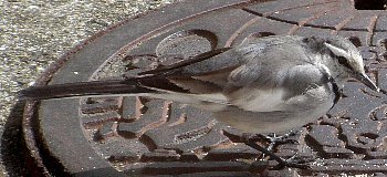 f0003283_16545607.jpg