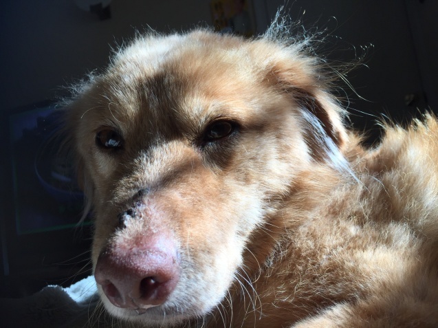 c0332184_07303139.jpeg
