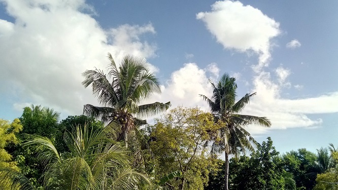 a0109187_09472457.jpg