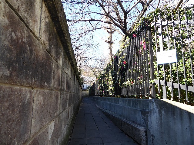 b0287088_16244971.jpg
