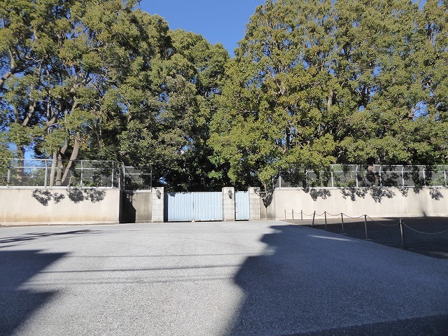 b0287088_16263314.jpg