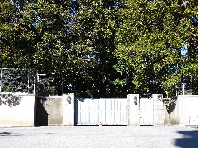 b0287088_20012156.jpg