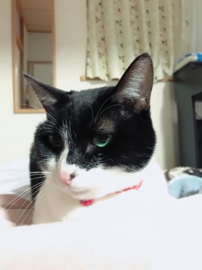 d0207491_23015416.jpeg