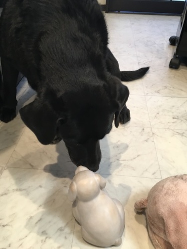 f0347891_20214174.jpeg