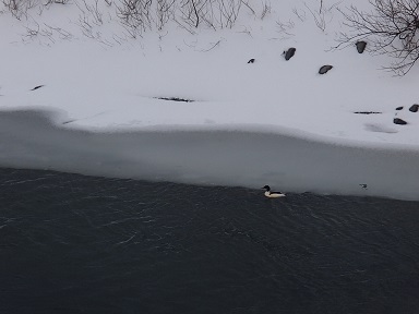 c0187298_19342180.jpg