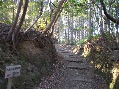 f0308898_20512277.jpg