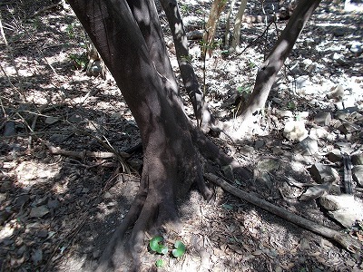 f0308898_21072596.jpg