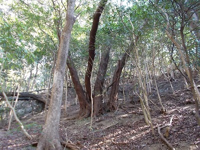 f0308898_21073286.jpg