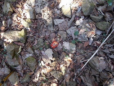 f0308898_21074680.jpg