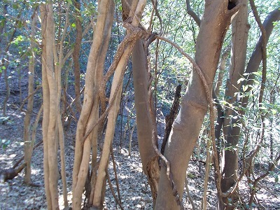 f0308898_21090856.jpg